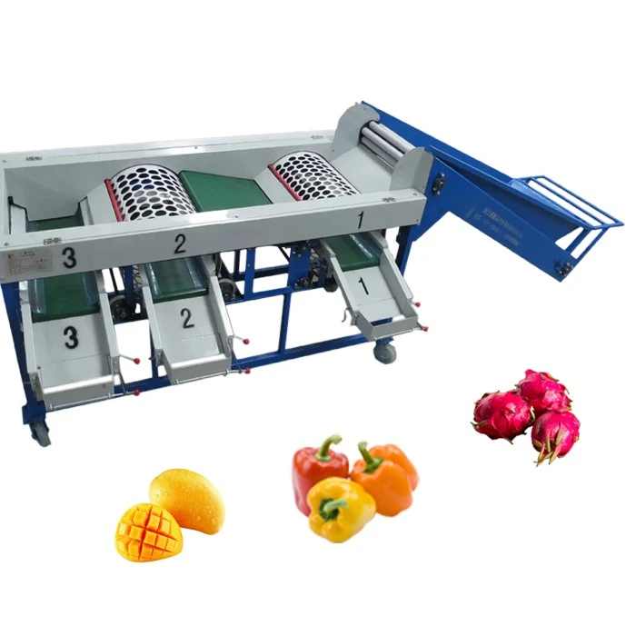 Potato size sorting machine 1