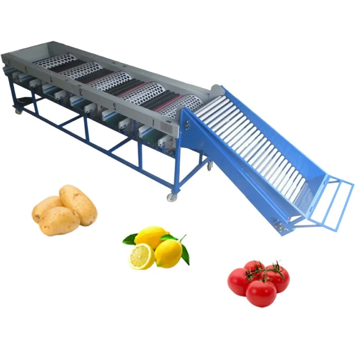 Potato size sorting machine 2