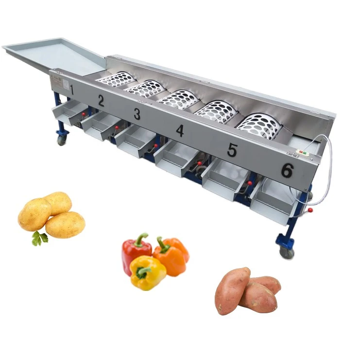 Vegetable grading equipment 2
